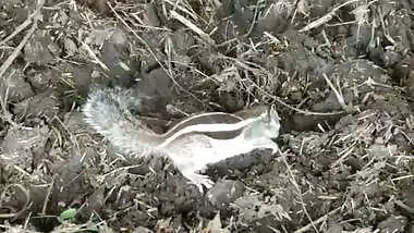 My new friend in indian hindi outdoor